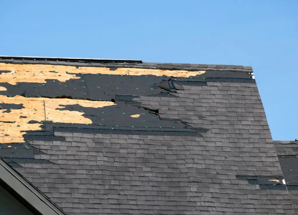 The damaged roof, with missing shingles and exposed underlayment against a clear blue sky, shows significant wear and tear. Deciding between roof replacement vs. roof repair is crucial as the underlying wooden structure is partially visible. Which is right for me?. Dominion Roofing | BRAMPTON | BURLINGTON | ETOBICOKE | MARKHAM | MISSISSAUGA | NORTH YORK | OAKVILLE | RICHMOND HILL | Scarborough | TORONTO | VAUGHAN | dominionroofing.com | Phone Number: 416-789-0601