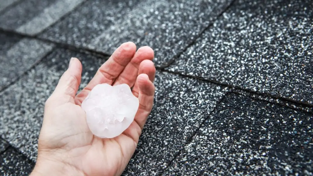 A hand holding a large, irregularly shaped hailstone above a dark gray shingled roof, showcasing the size comparison and highlighting the potential for storm damage. Dominion Roofing | BRAMPTON | BURLINGTON | ETOBICOKE | MARKHAM | MISSISSAUGA | NORTH YORK | OAKVILLE | RICHMOND HILL | Scarborough | TORONTO | VAUGHAN | dominionroofing.com | Phone Number: 416-789-0601