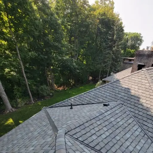A sloped gray shingle roof with a few vent pipes, indicative of a recent residential roof replacement, is shown in the foreground. In the background, theres a dense forest with sunlight filtering through the green leaves, and the sky appears clear and sunny. Dominion Roofing | BRAMPTON | BURLINGTON | ETOBICOKE | MARKHAM | MISSISSAUGA | NORTH YORK | OAKVILLE | RICHMOND HILL | Scarborough | TORONTO | VAUGHAN | dominionroofing.com | Phone Number: 416-789-0601