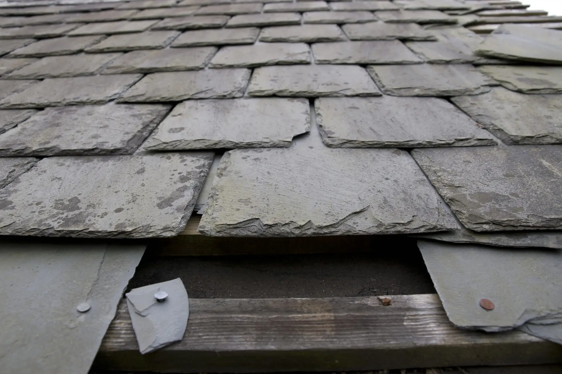 A close-up of a weathered roof with overlapping, gray slate tiles showcases the craftsmanship typical of specialty residential roofing. Some tiles are slightly damaged, exposing the wooden structure underneath, emphasizing the textured deterioration of this unique roof surface. Dominion Roofing | BRAMPTON | BURLINGTON | ETOBICOKE | MARKHAM | MISSISSAUGA | NORTH YORK | OAKVILLE | RICHMOND HILL | Scarborough | TORONTO | VAUGHAN | dominionroofing.com | Phone Number: 416-789-0601