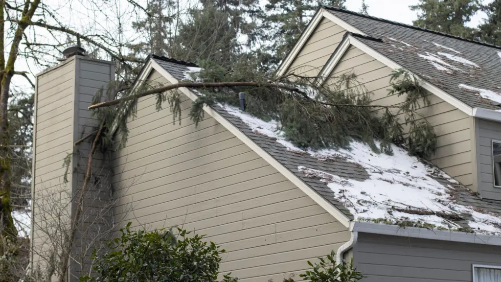 A house with a snowy roof has a large tree branch resting on it. The branch spans across the roof, suggesting storm damage. The siding of the house is beige, and theres a chimney visible. Trees are in the background. Dominion Roofing | BRAMPTON | BURLINGTON | ETOBICOKE | MARKHAM | MISSISSAUGA | NORTH YORK | OAKVILLE | RICHMOND HILL | Scarborough | TORONTO | VAUGHAN | dominionroofing.com | Phone Number: 416-789-0601