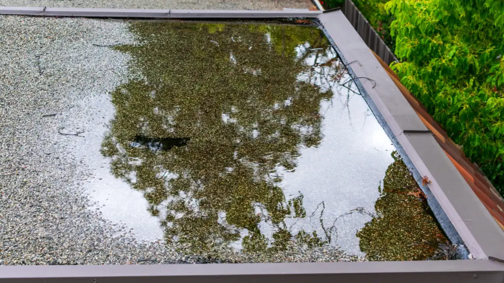 Ponding water on flat roof near a roof drain after heavy rain in Toronto