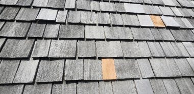 20250702_131449_resized