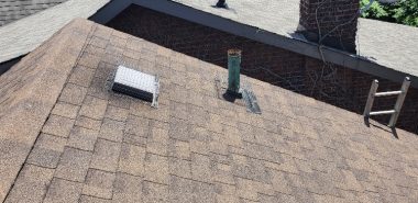 20250707_135313_resized