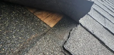 20250925_134247_resized