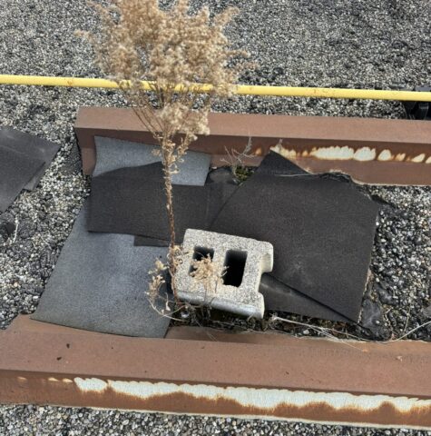 A dry plant grows through a stone block amidst weathered, rusted metal beams and scattered black roofing material on a rooftop covered in gravel. Evidence of recent roof repair is visible with bright yellow pipes running horizontally in the background. Dominion Roofing | BRAMPTON | BURLINGTON | ETOBICOKE | MARKHAM | MISSISSAUGA | NORTH YORK | OAKVILLE | RICHMOND HILL | Scarborough | TORONTO | VAUGHAN | dominionroofing.com | Phone Number: 416-789-0601