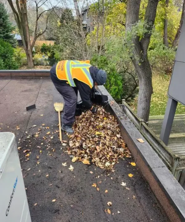 Worker in a neon safety vest and dark clothing is sweeping a pile of autumn leaves off the edge of a flat rooftop surrounded by trees. There is a broom beside them. The surroundings show a mix of greenery and fallen yellow leaves. Dominion Roofing | BRAMPTON | BURLINGTON | ETOBICOKE | MARKHAM | MISSISSAUGA | NORTH YORK | OAKVILLE | RICHMOND HILL | Scarborough | TORONTO | VAUGHAN | dominionroofing.com | Phone Number: 416-789-0601