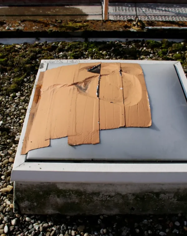 A square skylight on a gravel-covered roof, partially covered with a large patch of beige paint or adhesive. The surroundings include patches of green moss and metal railings in the background. Dominion Roofing | BRAMPTON | BURLINGTON | ETOBICOKE | MARKHAM | MISSISSAUGA | NORTH YORK | OAKVILLE | RICHMOND HILL | Scarborough | TORONTO | VAUGHAN | dominionroofing.com | Phone Number: 416-789-0601
