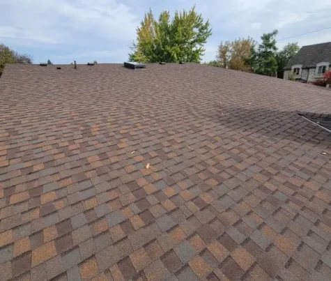 A residential roof replacement is showcased with brown asphalt shingles extending across the image. In the background, trees displaying green and autumn hues stand under a cloudy sky. Dominion Roofing | BRAMPTON | BURLINGTON | ETOBICOKE | MARKHAM | MISSISSAUGA | NORTH YORK | OAKVILLE | RICHMOND HILL | Scarborough | TORONTO | VAUGHAN | dominionroofing.com | Phone Number: 416-789-0601