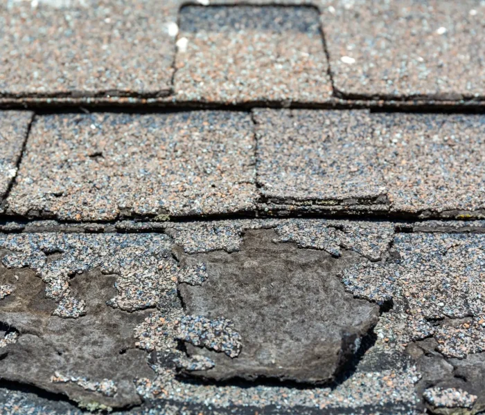 Close-up image of a worn asphalt shingle roof with noticeable granule loss and damage. The surface shows signs of aging, with patches where the underlying material is exposed, indicating a need for roof repair. Dominion Roofing | BRAMPTON | BURLINGTON | ETOBICOKE | MARKHAM | MISSISSAUGA | NORTH YORK | OAKVILLE | RICHMOND HILL | Scarborough | TORONTO | VAUGHAN | dominionroofing.com | Phone Number: 416-789-0601